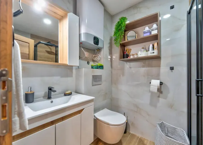 T&ni ズラティボール